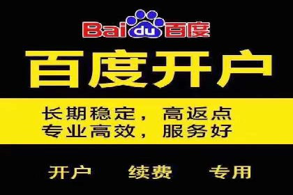 百度推广中的用户行为分析：基于案例的深度解析